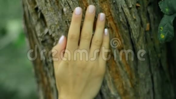在森林里用美甲触摸树皮的女孩视频的预览图