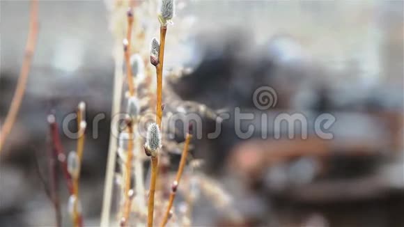 旧车架的细节视频的预览图