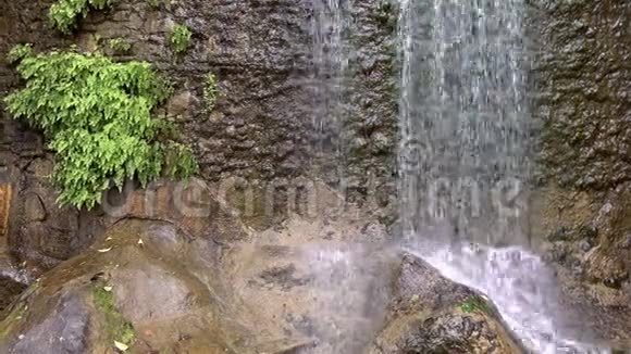大自然中的瀑布和岩石视频的预览图