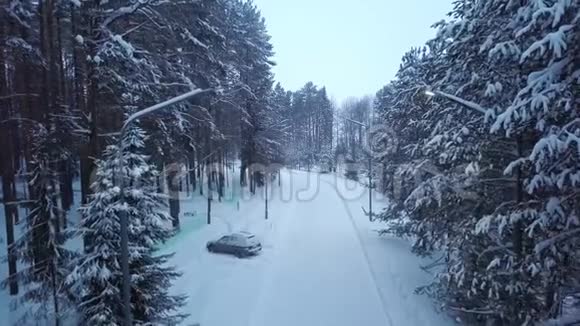 公园里白雪皑皑的小路上挂着灯笼剪辑冬季公园的小巷道路环绕着白雪覆盖的高树视频的预览图