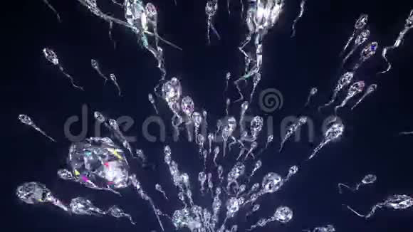 钻石精子飞行视频的预览图