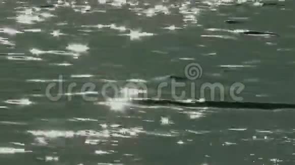 海水中太阳小星的涟漪反射视频的预览图