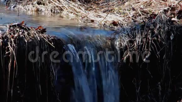 小森林瀑布2处视频的预览图