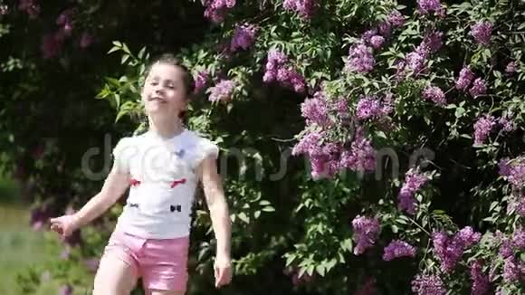 可爱的小女孩在阳光明媚的夏日里嗅着公园里的紫罗兰花视频的预览图