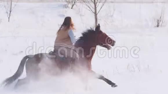 年轻的女骑手骑着一匹黑色的马穿过冬天结冰的森林的漂流视频的预览图