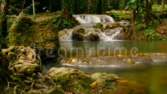 清澈的水流沿着热带雨林中的瀑布湍急视频的预览图