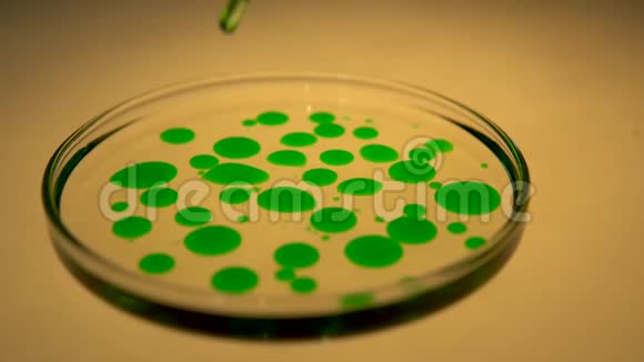 微生物实验室工作培养皿视频的预览图