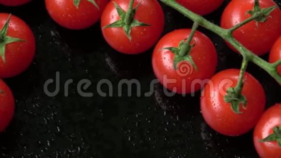 黑色背景的新鲜樱桃番茄一束带水滴的新鲜樱桃番茄视频的预览图