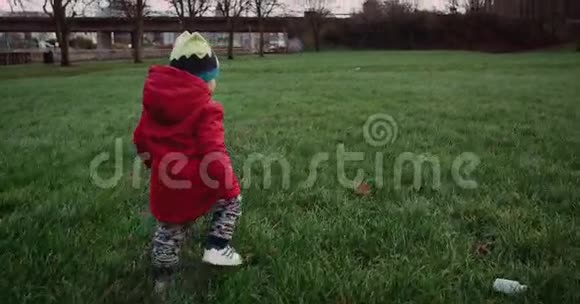 可爱的孩子在公园的绿草上散步爱尔兰2016年红色史诗4k慢动作视频的预览图