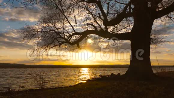夕阳的云彩飞过湖面水边孤树的剪影视频的预览图