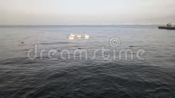土耳其伊兹密尔的海上即将迎来夜晚视频的预览图