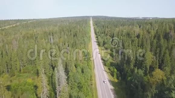 乘坐高速公路的森林平原和汽车的空中景观剪辑在森林道路上乘坐汽车的俯视图视频的预览图