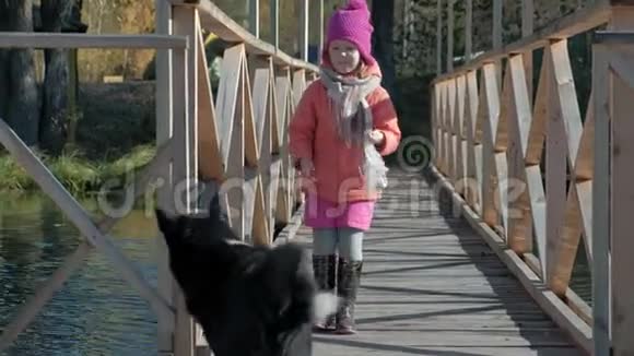 小女孩女儿穿着暖和的衣服和一只狗玩耍喂她在河岸上的木桥上野餐视频的预览图