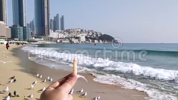 海鸥想吃一份赛康小吃视频的预览图