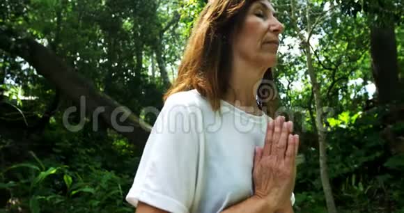 公园里练习瑜伽的成熟女人4k视频的预览图