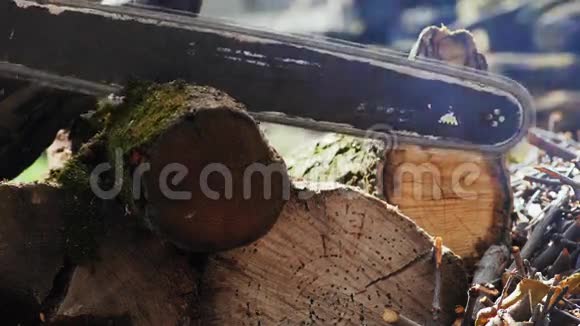 伐木工剪树干视频的预览图