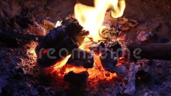 篝火燃烧到热煤层视频的预览图