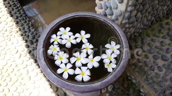 大花瓶里的水上放着许多白花花日本禅宗花园放松平衡与和谐视频的预览图