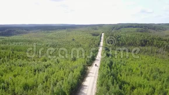 皮卡热杆卡车行驶在森林道路上视频的预览图