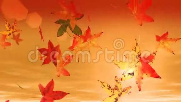 秋叶飘落HD循环视频的预览图