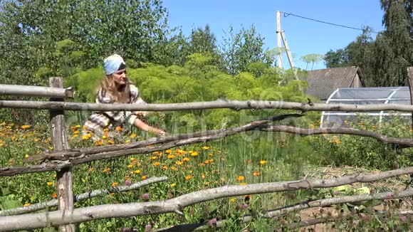 女农民在有栅栏的花园里采摘绿色的天然鳃植物4K视频的预览图