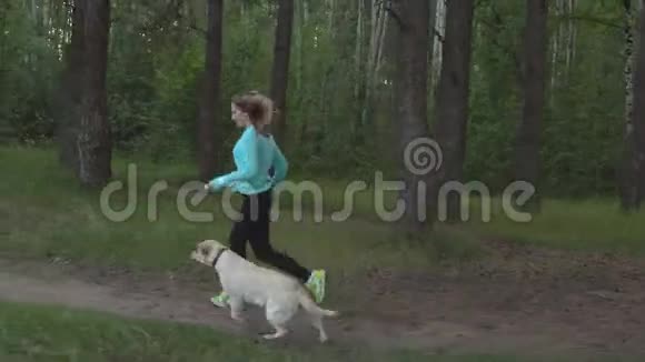 年轻漂亮的女孩和她的纯种狗在森林里穿过树林视频的预览图