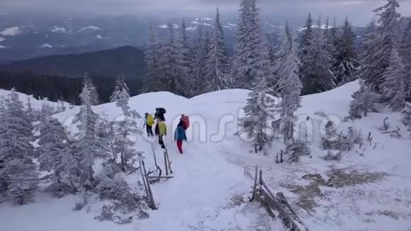 在冬天的山上飞过一群游客视频的预览图