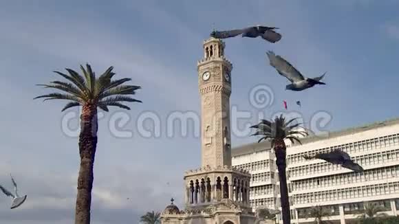 慢动作飞鸟绕伊兹钟楼视频的预览图