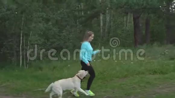 在温暖的夏天小女孩和她的纯种狗穿过树林视频的预览图