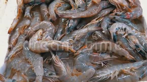 街市集冰中的小龙虾表演视频的预览图