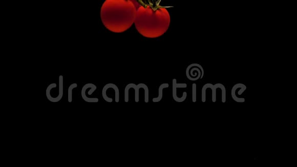 樱桃番茄枝条落在黑色背景的透明水中视频的预览图