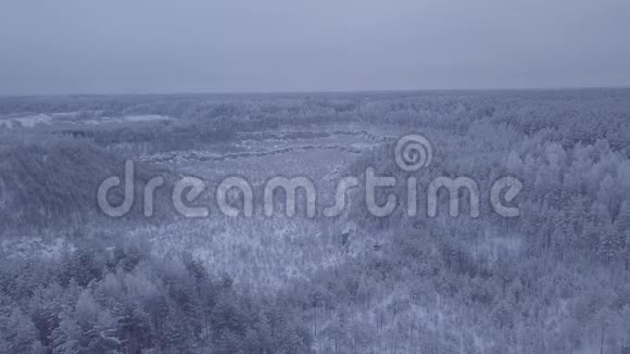 雪覆盖森林的全景空中观景视频的预览图