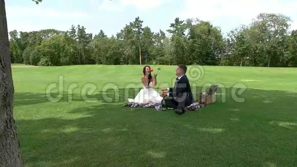 在野餐的婚礼情侣视频的预览图