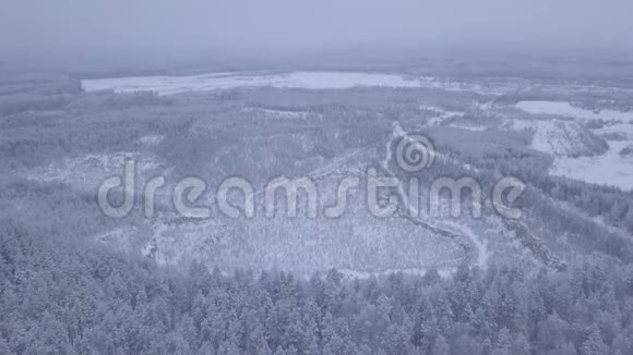 雪覆盖森林的全景空中观景视频的预览图