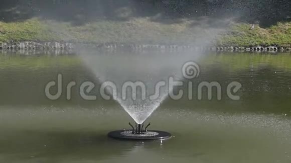 夏天在湖中缓慢流动的喷水池视频的预览图