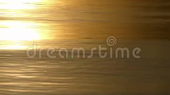 在灿烂的夕阳下金色的湖水视频的预览图