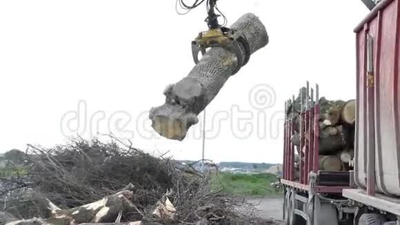 一个机器人起重机臂抓住一根木头在河岸上空中移动视频的预览图