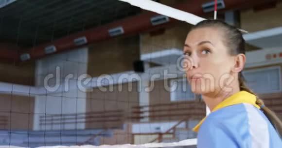 女子排球运动员在球场练习排球视频的预览图
