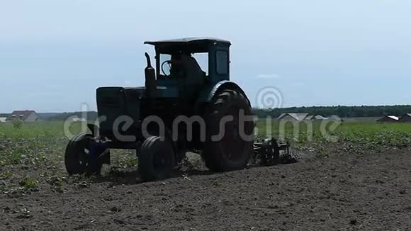 夏天阳光明媚的一天一辆蓝色拖拉机耕种农田视频的预览图