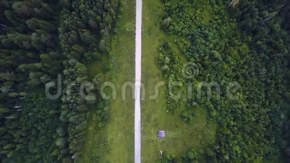 森林和树木之间的道路鸟瞰剪辑高空俯视彩色直线道路视频的预览图