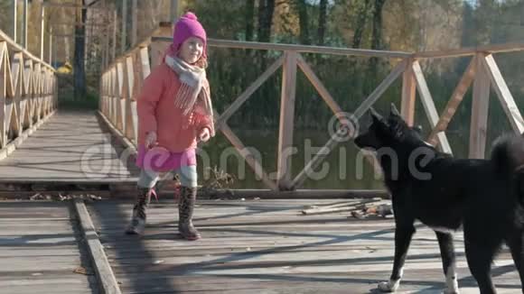 小女孩女儿穿着暖和的衣服和一只狗玩耍喂她在河岸上的木桥上野餐视频的预览图