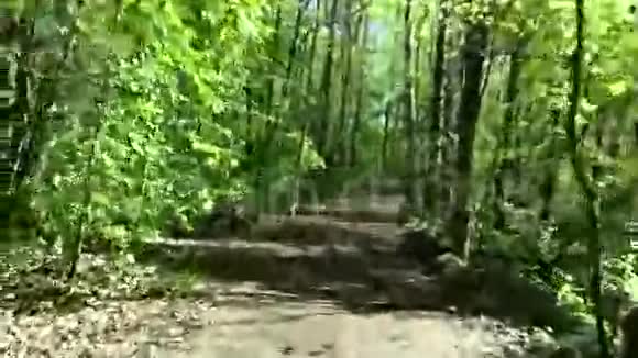 春天骑自行车在树林里视频的预览图