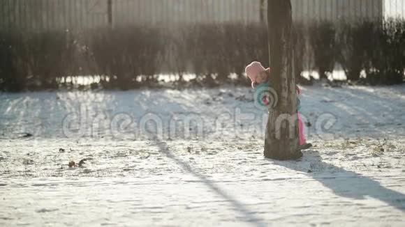 可爱的小宝宝躲在一棵树后面快乐的女孩在户外玩耍享受寒冷阳光的冬天早晨视频的预览图