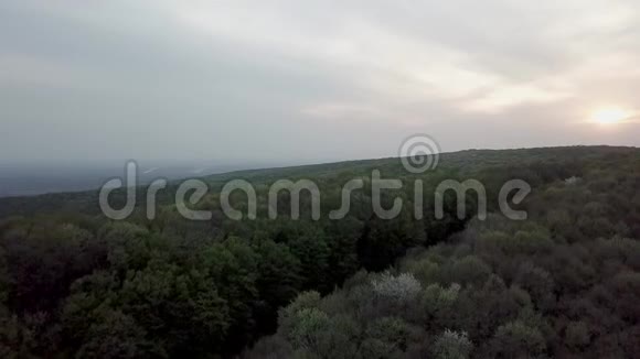 从上面看到绿色的春天森林飞越春山带林空中观景视频的预览图