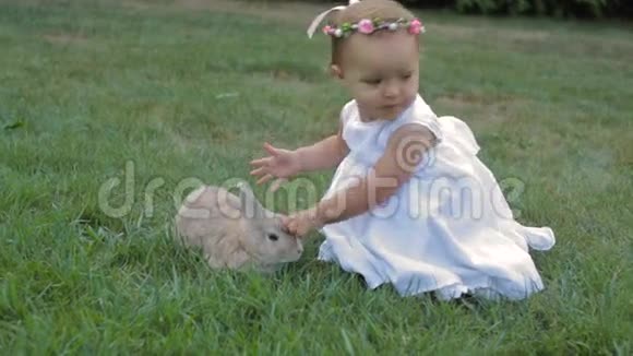 穿着白裙子的小女孩抚摸着兔子视频的预览图