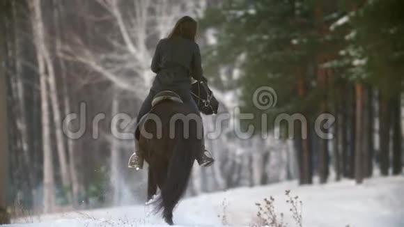 美丽的长发女子骑着一匹黑色的马穿过森林中的深雪独立的种马跳跃着视频的预览图