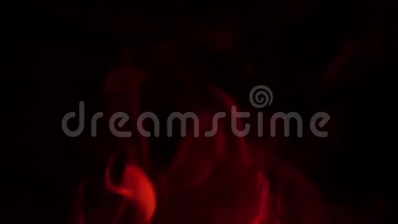 火焰篝火在夜间缓慢燃烧特写视频的预览图