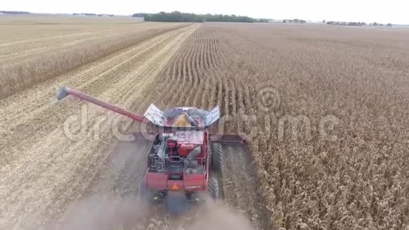 大农业联合卡车机械拖拉机从农田收获有机作物小麦视频的预览图
