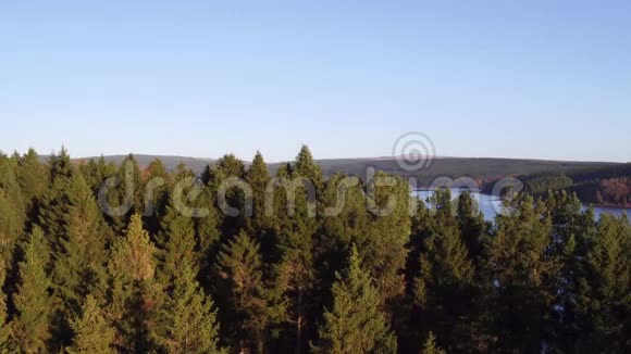 从基尔德森林冠层中升起的无人机在日出时展现出蓝色天空的基尔德湖视频的预览图