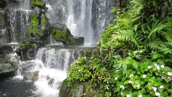 美丽的瀑布和绿色植物叶的自然景观视频的预览图